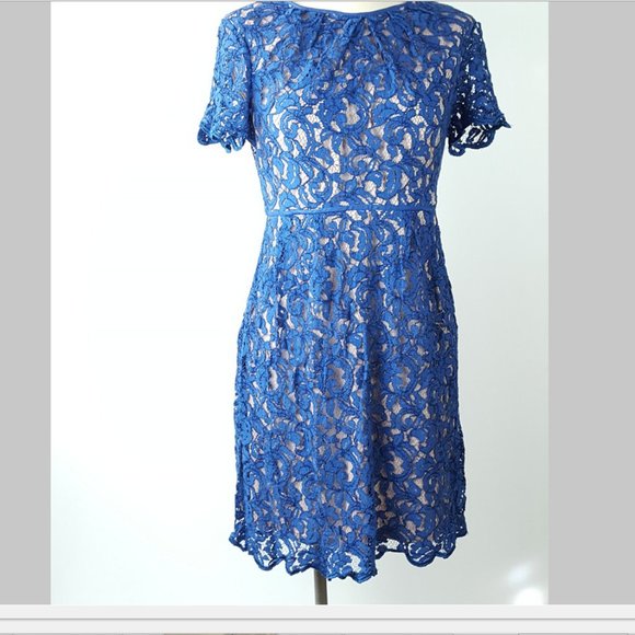 Coldwater Creek Women p12 Royal Blue Lace Overlay Lined Dress - Picture 2 of 12